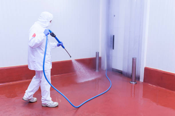 Best Paint Preparation  in Oakley, CA
